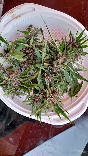 Growreport Bild 18