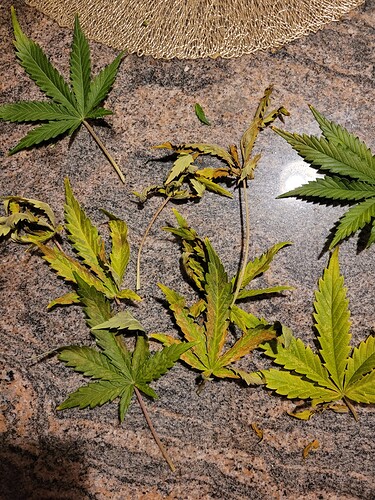 Growreport Bild 11