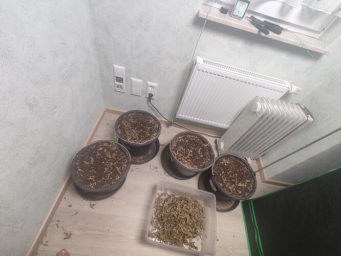Growreport Bild 6