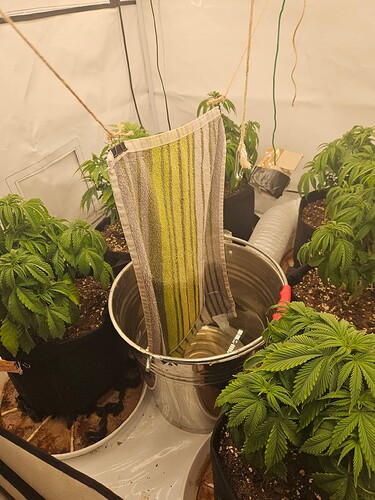 Growreport Bild 33