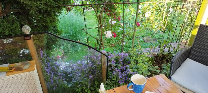 Growreport Bild 31