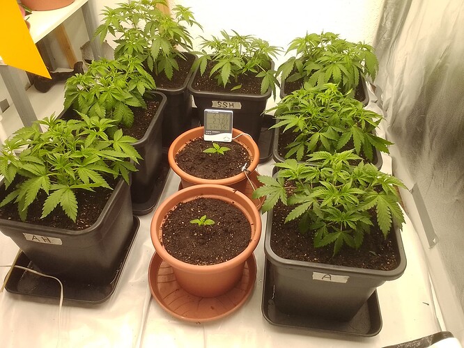 Growreport Bild 1