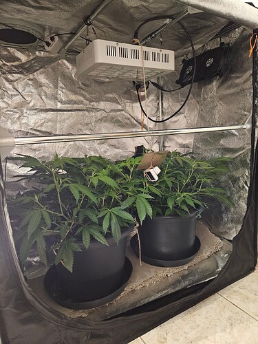 Growreport Bild 13