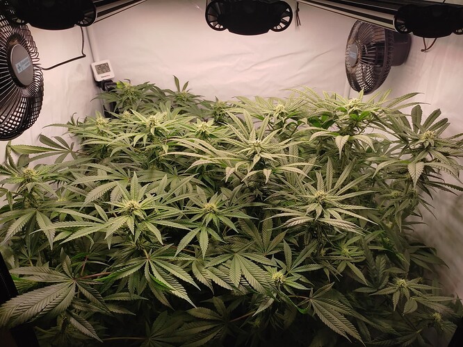 Growreport Bild 20