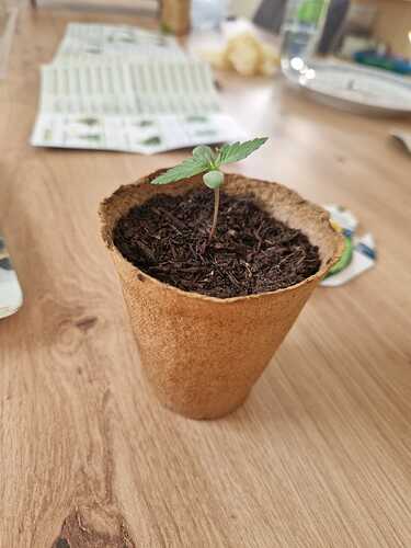 WhatsApp Image 2024-04-18 at 18.15.34 (2)