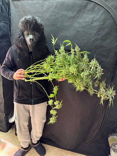 Growreport Bild 36