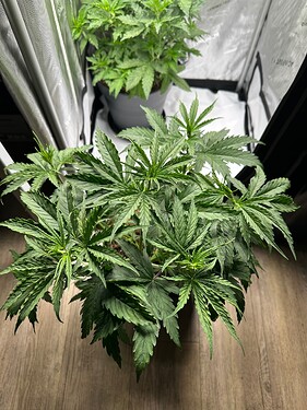 Growreport Bild 18
