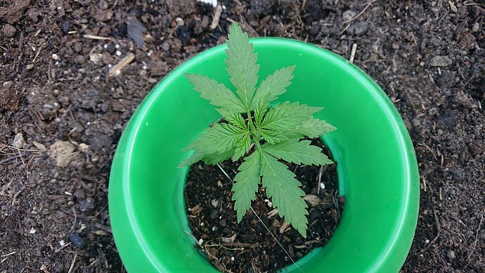 Growreport Bild 10