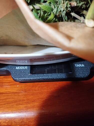 IMG_20250108_233807 - Kopie