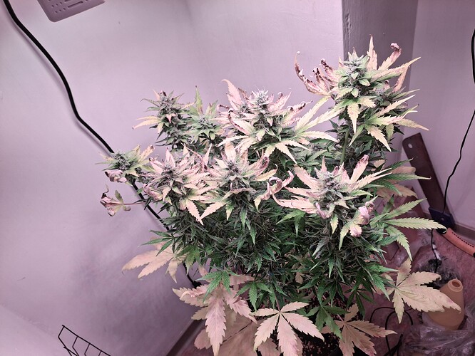 Growreport Bild 12