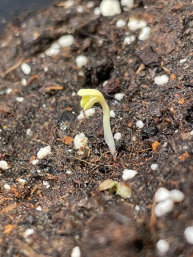 Growreport Bild 22