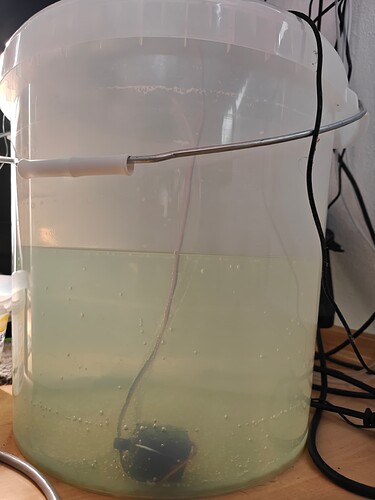 Growreport Bild 11
