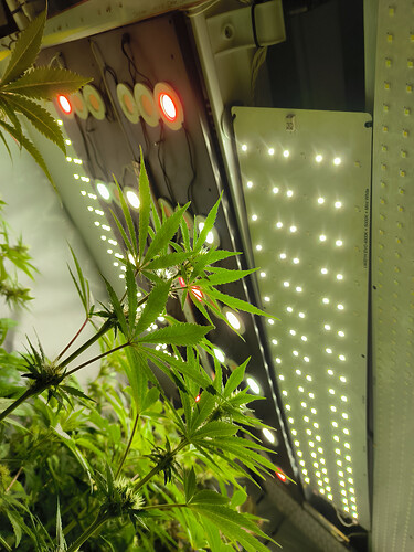 Growreport Bild 10