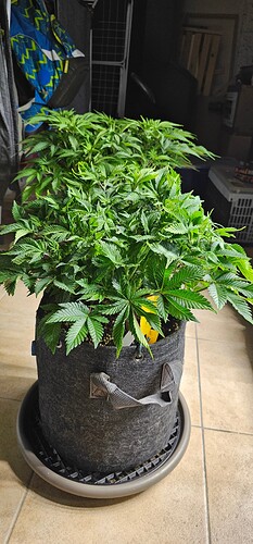 Growreport Bild 10