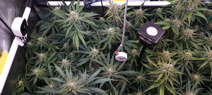 Growreport Bild 47
