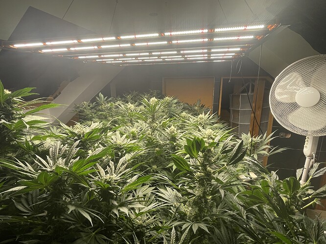 Growreport Bild 32