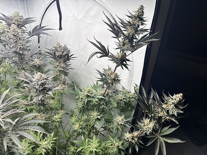 Growreport Bild 21