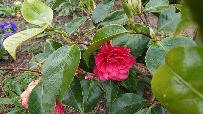 Growreport Bild 7