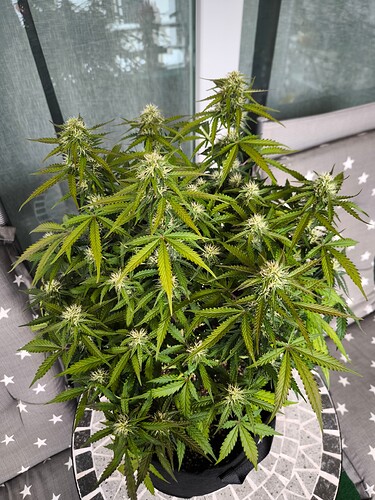 Growreport Bild 14