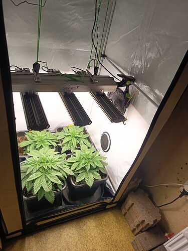 Growreport Bild 6