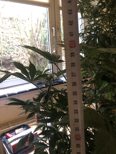 Growreport Bild 12