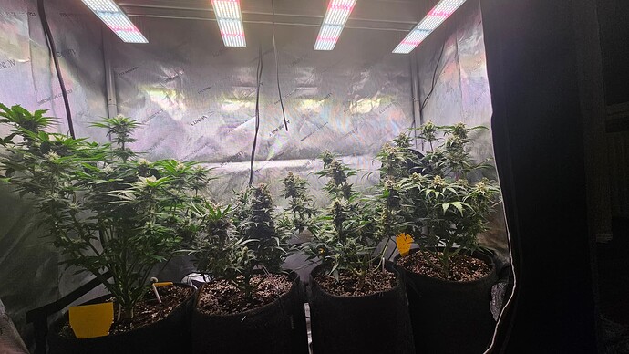 Growreport Bild 13