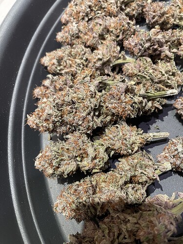 Growreport Bild 19