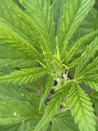 Growreport Bild 15