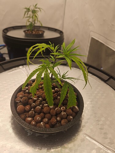 Growreport Bild 9