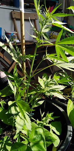Growreport Bild 11