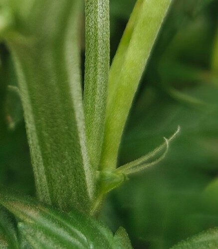 Growreport Bild 20