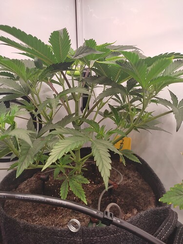 Growreport Bild 18