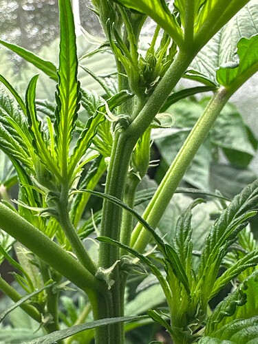 Growreport Bild 6