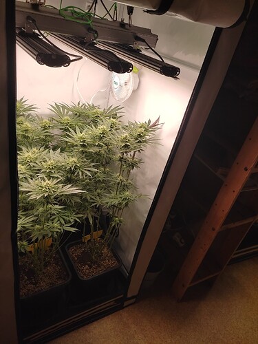 Growreport Bild 28