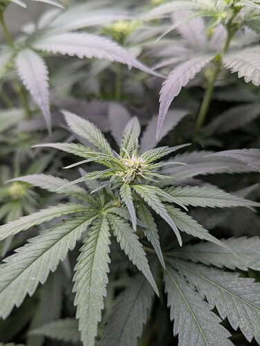 PXL_20250710_180848875