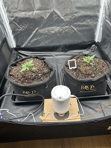 Growreport Bild 3
