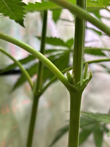 Growreport Bild 30