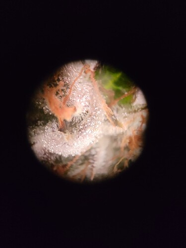 Growreport Bild 19