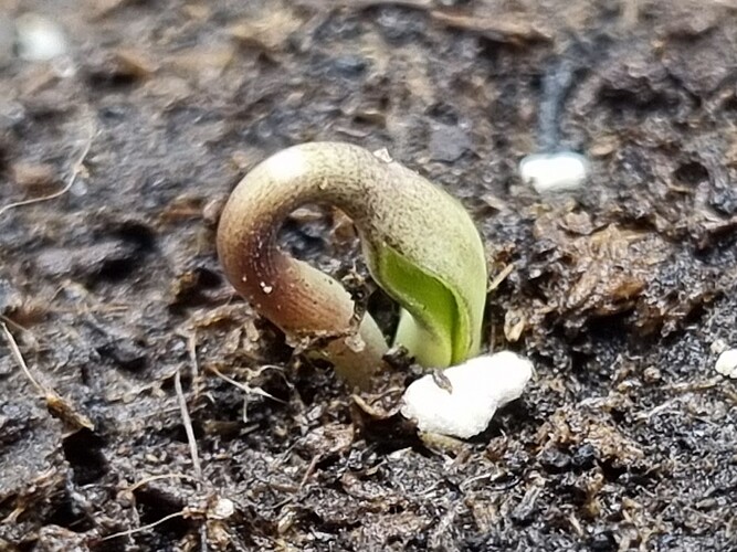 Growreport Bild 13