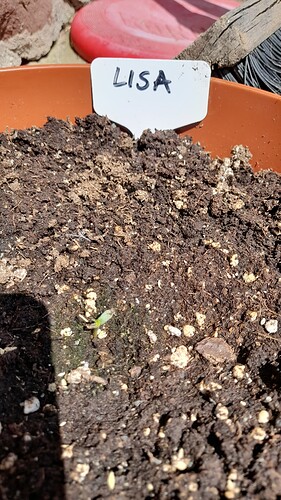 Growreport Bild 43