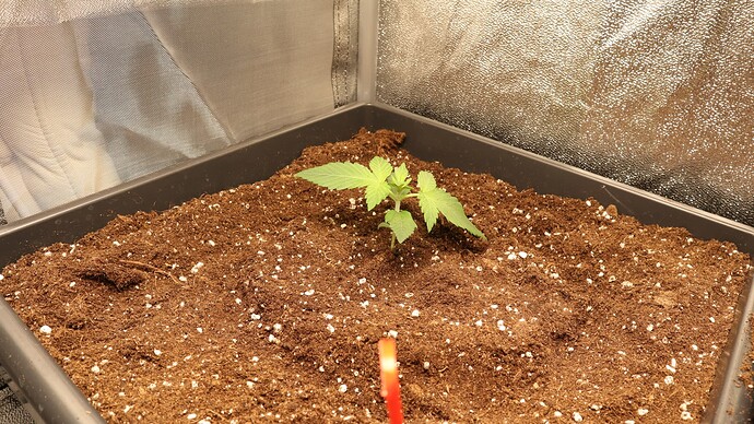 Growreport Bild 12