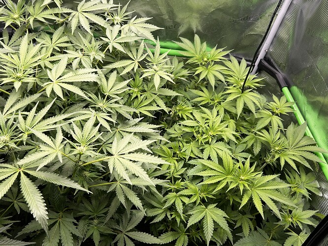 Growreport Bild 21