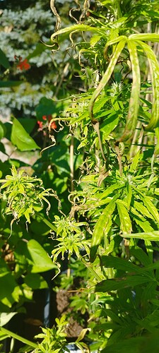 Growreport Bild 8