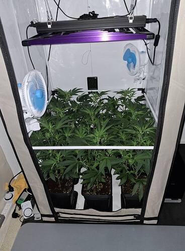 Growreport Bild 43