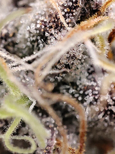 Growreport Bild 14
