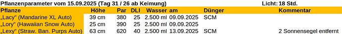 Growreport Bild 15