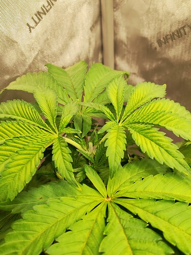 Growreport Bild 13