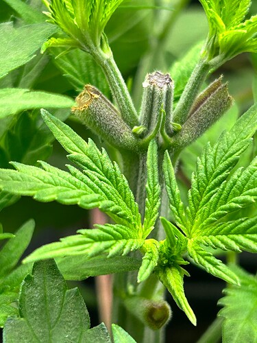 Growreport Bild 19