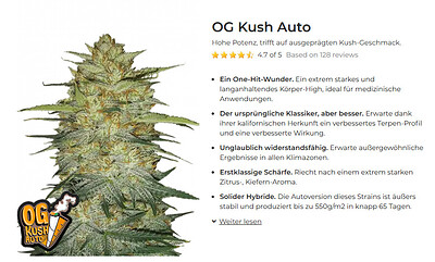 Organeralisches Air-DWC-2W im Deutsch-Bucket