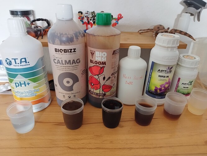 Growreport Bild 7